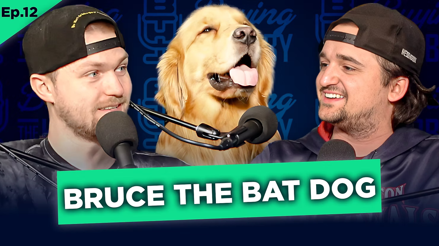 Buying The Hobby Talks Bruce the Bat Dog, NBA Finals, and Topps Card Licensing